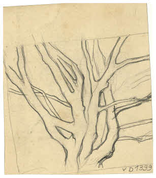 Visualizza l'immagine "FD D 1399 v."